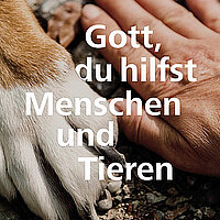Schöpfungszeit 2025