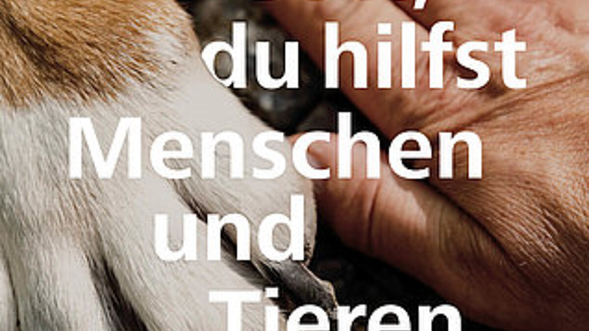 Schöpfungszeit 2025